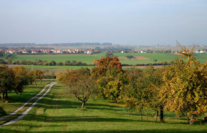 Streuobstwiese. Foto: catkin/pixabay